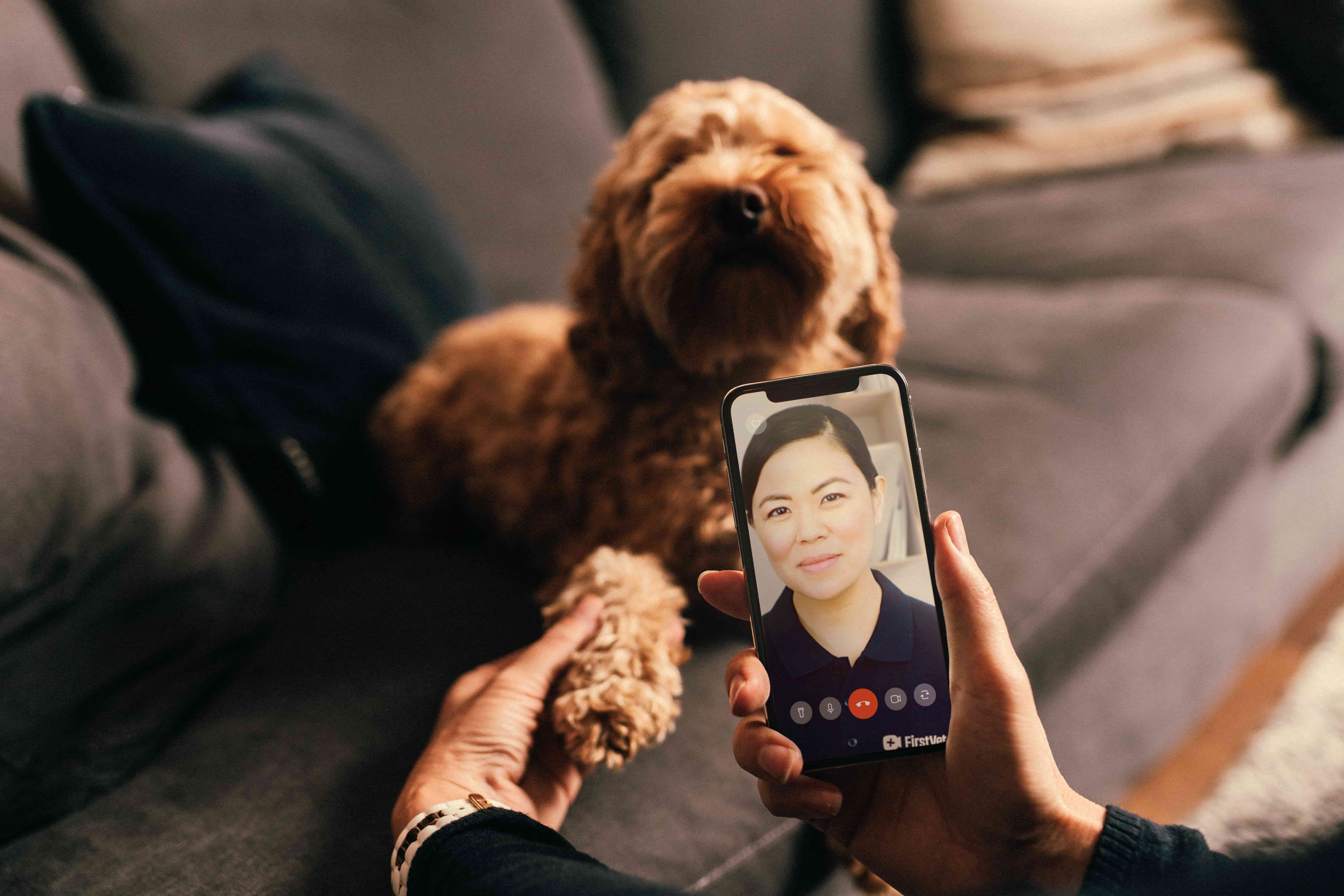 Nyt samarbejde med FirstVet